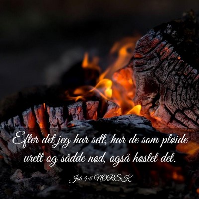 Picture 03 - Job 4:8 NORSK - Efter det jeg har sett, har de som pløide urett - Bible Verse Picture