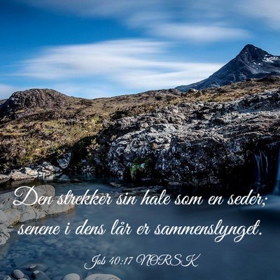 Picture 03 - Job 40:17 NORSK - Den strekker sin hale som en seder; senene i dens - Bible Verse Picture