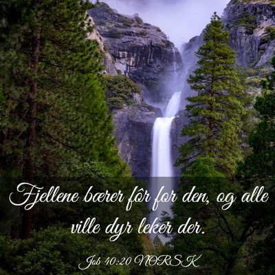 Picture 03 - Job 40:20 NORSK - Fjellene bærer fôr for den, og alle ville dyr - Bible Verse Picture