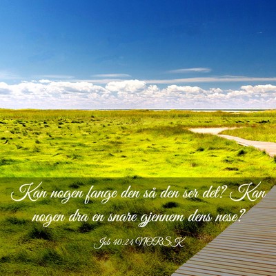 Picture 03 - Job 40:24 NORSK - Kan nogen fange den så den ser det? Kan nogen - Bible Verse Picture