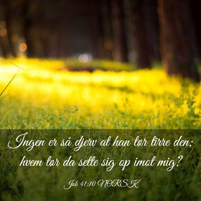 Picture 03 - Job 41:10 NORSK - Ingen er så djerv at han tør tirre den; hvem - Bible Verse Picture