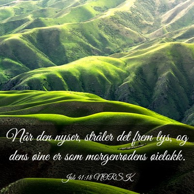 Picture 03 - Job 41:18 NORSK - Når den nyser, stråler det frem lys, og dens - Bible Verse Picture