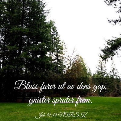 Picture 03 - Job 41:19 NORSK - Bluss farer ut av dens gap, gnister spruter - Bible Verse Picture