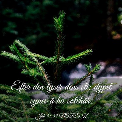Picture 03 - Job 41:32 NORSK - Efter den lyser dens sti; dypet synes å ha - Bible Verse Picture