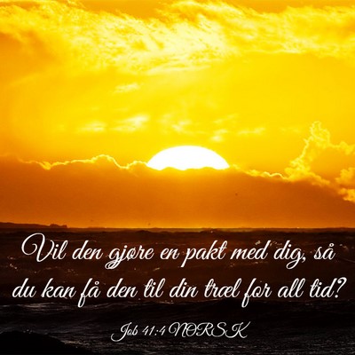 Picture 03 - Job 41:4 NORSK - Vil den gjøre en pakt med dig, så du kan få - Bible Verse Picture