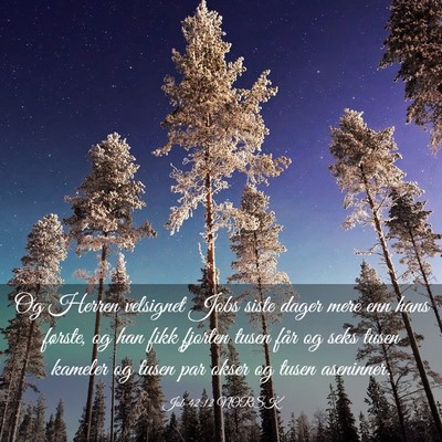 Picture 03 - Job 42:12 NORSK - Og Herren velsignet Jobs siste dager mere enn - Bible Verse Picture