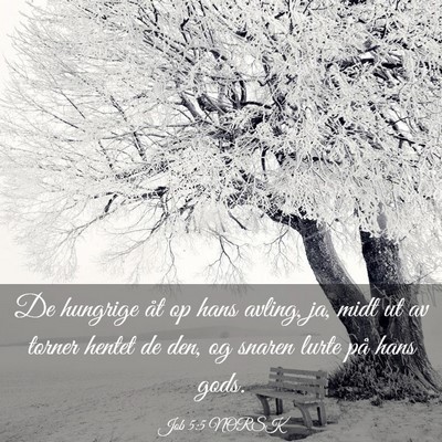 Picture 03 - Job 5:5 NORSK - De hungrige åt op hans avling, ja, midt ut av - Bible Verse Picture