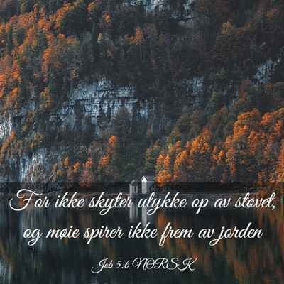 Picture 03 - Job 5:6 NORSK - For ikke skyter ulykke op av støvet, og møie - Bible Verse Picture