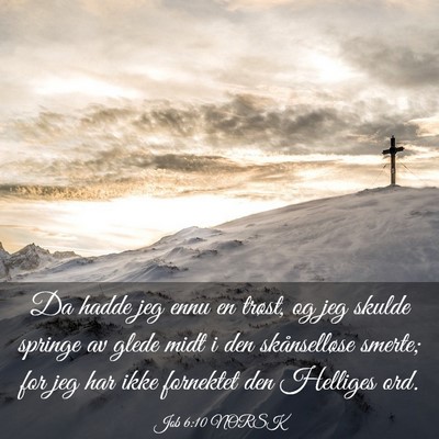 Picture 03 - Job 6:10 NORSK - Da hadde jeg ennu en trøst, og jeg skulde - Bible Verse Picture