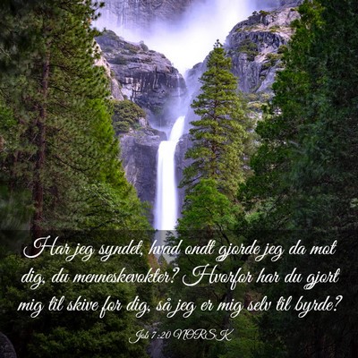 Picture 03 - Job 7:20 NORSK - Har jeg syndet, hvad ondt gjorde jeg da mot dig, - Bible Verse Picture
