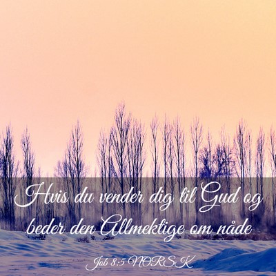 Picture 03 - Job 8:5 NORSK - Hvis du vender dig til Gud og beder den - Bible Verse Picture