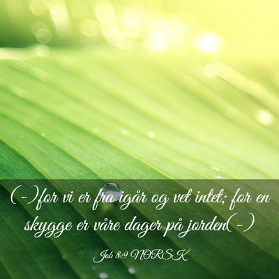 Picture 03 - Job 8:9 NORSK - (-)for vi er fra igår og vet intet; for en - Bible Verse Picture