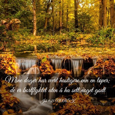 Picture 03 - Job 9:25 NORSK - Mine dager har vært hastigere enn en løper; de - Bible Verse Picture