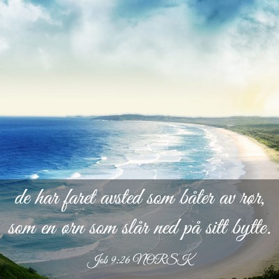 Picture 03 - Job 9:26 NORSK - de har faret avsted som båter av rør, som en - Bible Verse Picture