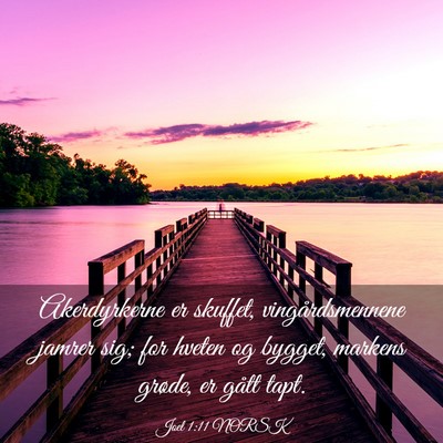 Picture 03 - Joel 1:11 NORSK - Akerdyrkerne er skuffet, vingårdsmennene jamrer - Bible Verse Picture