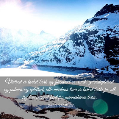 Picture 03 - Joel 1:12 NORSK - Vintreet er tørket bort, og fikentreet er - Bible Verse Picture