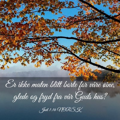 Picture 03 - Joel 1:16 NORSK - Er ikke maten blitt borte for våre øine, glede - Bible Verse Picture