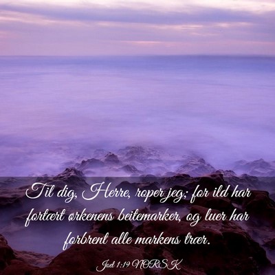 Picture 03 - Joel 1:19 NORSK - Til dig, Herre, roper jeg; for ild har fortært - Bible Verse Picture