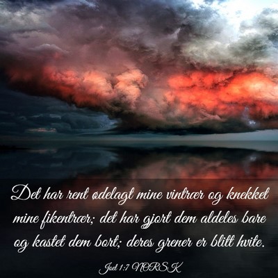 Picture 03 - Joel 1:7 NORSK - Det har rent ødelagt mine vintrær og knekket - Bible Verse Picture