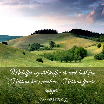 Picture 03 - Joel 1:9 NORSK - Matoffer og drikkoffer er revet bort fra Herrens - Bible Verse Picture