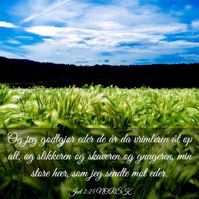 Picture 03 - Joel 2:25 NORSK - Og jeg godtgjør eder de år da vrimleren åt op - Bible Verse Picture