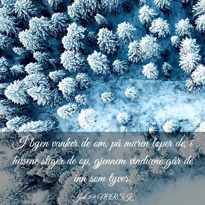 Picture 03 - Joel 2:9 NORSK - I byen vanker de om, på muren løper de, i - Bible Verse Picture
