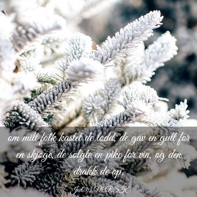 Picture 03 - Joel 3:3 NORSK - om mitt folk kastet de lodd, de gav en gutt for - Bible Verse Picture