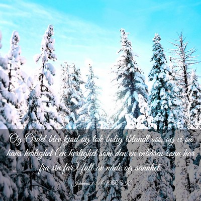 Picture 03 - Johannes 1:14 NORSK - Og Ordet blev kjød og tok bolig iblandt oss, og - Bible Verse Picture