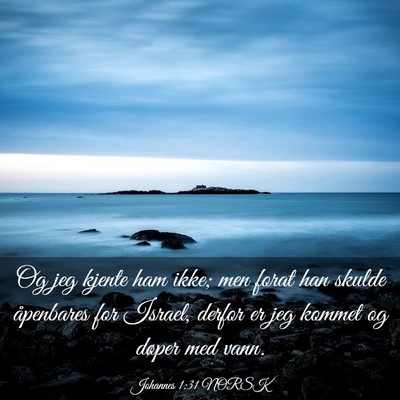 Picture 03 - Johannes 1:31 NORSK - Og jeg kjente ham ikke; men forat han skulde - Bible Verse Picture