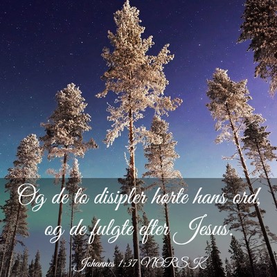 Picture 03 - Johannes 1:37 NORSK - Og de to disipler hørte hans ord, og de fulgte - Bible Verse Picture