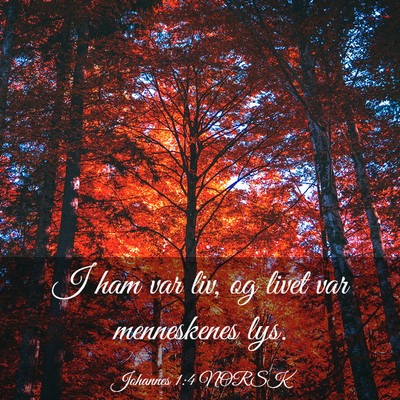 Picture 03 - Johannes 1:4 NORSK - I ham var liv, og livet var menneskenes - Bible Verse Picture