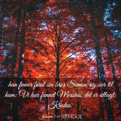 Picture 03 - Johannes 1:41 NORSK - han finner først sin bror Simon, og sier til - Bible Verse Picture