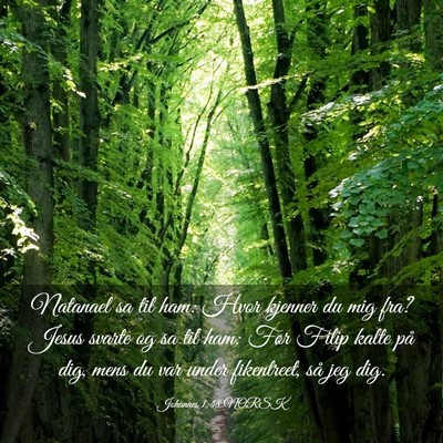 Picture 03 - Johannes 1:48 NORSK - Natanael sa til ham: Hvor kjenner du mig fra? - Bible Verse Picture