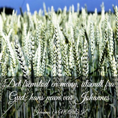 Picture 03 - Johannes 1:6 NORSK - Det fremstod en mann, utsendt fra Gud; hans navn - Bible Verse Picture