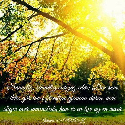 Picture 03 - Johannes 10:1 NORSK - Sannelig, sannelig sier jeg eder: Den som ikke - Bible Verse Picture