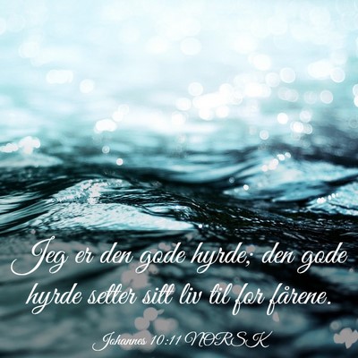 Picture 03 - Johannes 10:11 NORSK - Jeg er den gode hyrde; den gode hyrde setter sitt - Bible Verse Picture