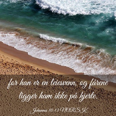 Picture 03 - Johannes 10:13 NORSK - for han er en leiesvenn, og fårene ligger ham - Bible Verse Picture