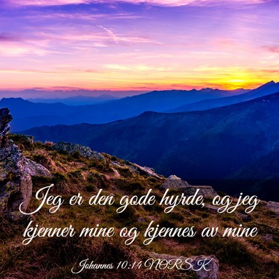 Picture 03 - Johannes 10:14 NORSK - Jeg er den gode hyrde, og jeg kjenner mine og - Bible Verse Picture