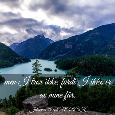 Picture 03 - Johannes 10:26 NORSK - men I tror ikke, fordi I ikke er av mine - Bible Verse Picture