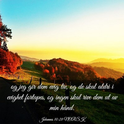 Picture 03 - Johannes 10:28 NORSK - og jeg gir dem evig liv, og de skal aldri i - Bible Verse Picture