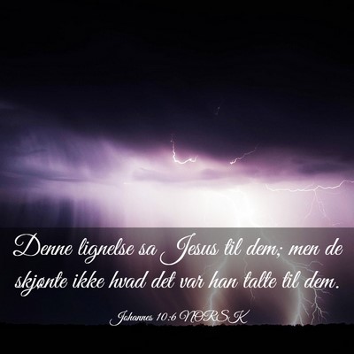 Picture 03 - Johannes 10:6 NORSK - Denne lignelse sa Jesus til dem; men de skjønte - Bible Verse Picture