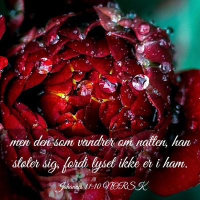 Picture 03 - Johannes 11:10 NORSK - men den som vandrer om natten, han støter sig, - Bible Verse Picture