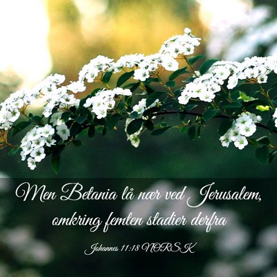Picture 03 - Johannes 11:18 NORSK - Men Betania lå nær ved Jerusalem, omkring - Bible Verse Picture
