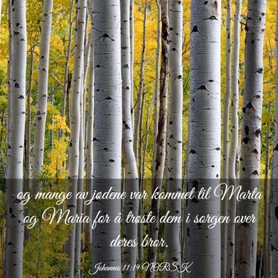 Picture 03 - Johannes 11:19 NORSK - og mange av jødene var kommet til Marta og Maria - Bible Verse Picture