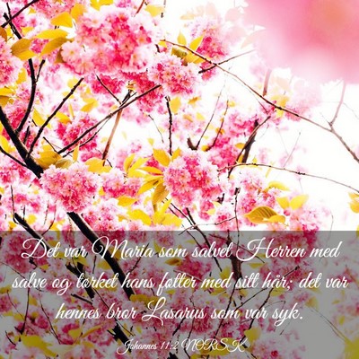 Picture 03 - Johannes 11:2 NORSK - Det var Maria som salvet Herren med salve og - Bible Verse Picture