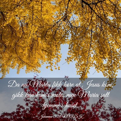 Picture 03 - Johannes 11:20 NORSK - Da nu Marta fikk høre at Jesus kom, gikk hun ham - Bible Verse Picture