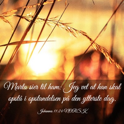 Picture 03 - Johannes 11:24 NORSK - Marta sier til ham: Jeg vet at han skal opstå i - Bible Verse Picture