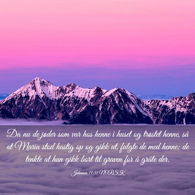 Picture 03 - Johannes 11:31 NORSK - Da nu de jøder som var hos henne i huset og - Bible Verse Picture