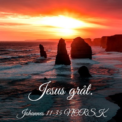 Picture 03 - Johannes 11:35 NORSK - Jesus - Bible Verse Picture