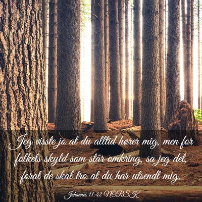 Picture 03 - Johannes 11:42 NORSK - Jeg visste jo at du alltid hører mig, men for - Bible Verse Picture